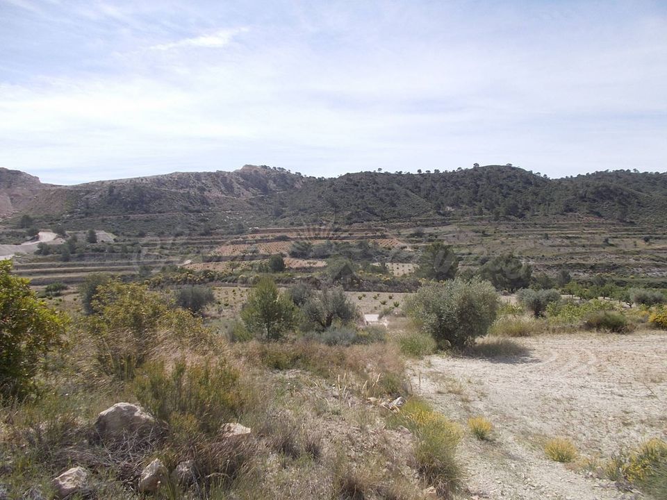 Cave house i Abanilla, Murcia - foto 3